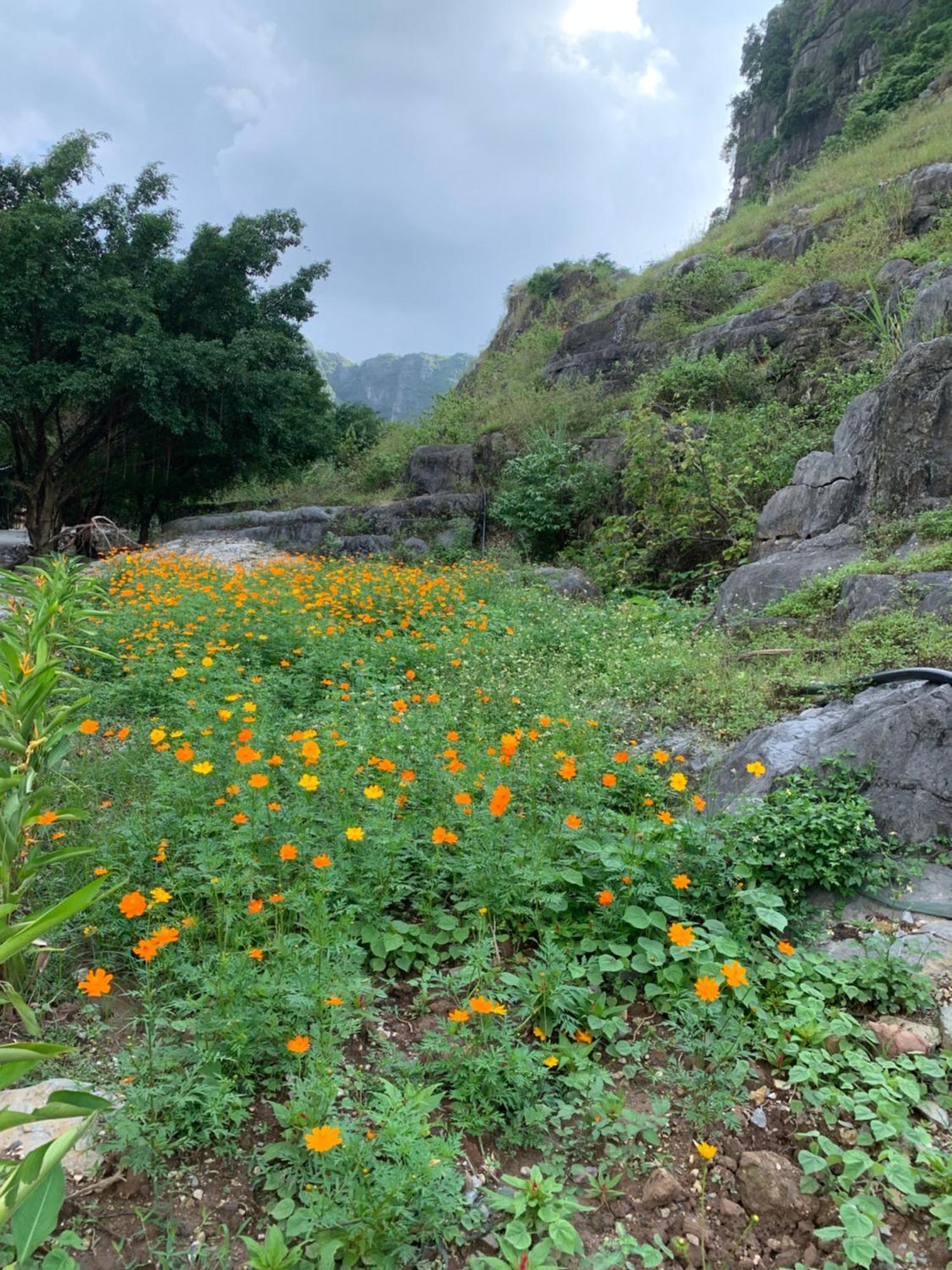 Lake Retreat Ninh Binh Exterior foto