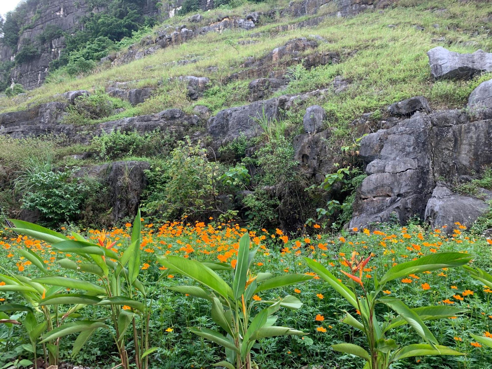 Lake Retreat Ninh Binh Exterior foto